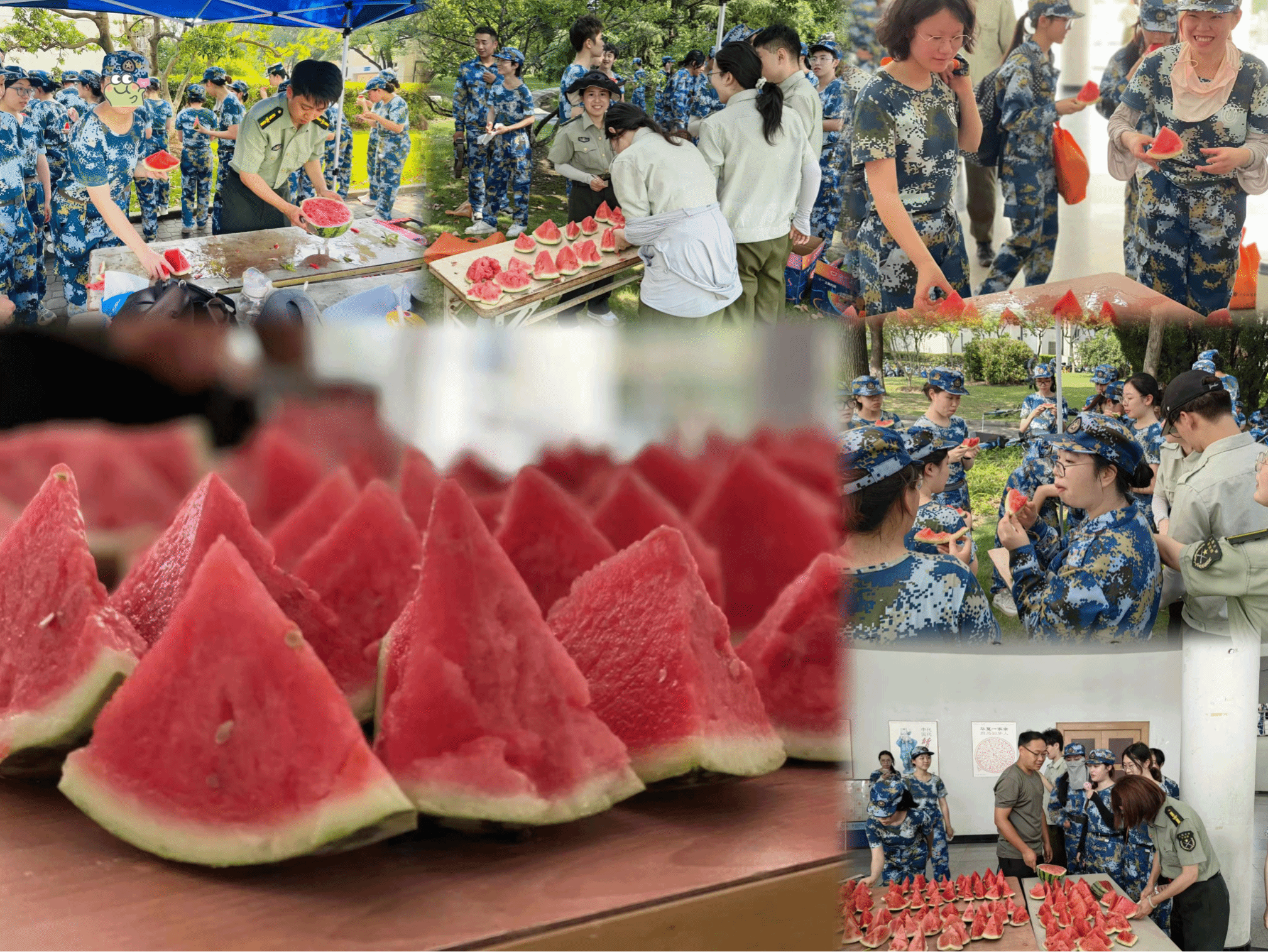 图片15.png 图片15.png